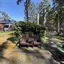 Shawnigan Lake Cabins