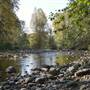 Upper Bridgman Park