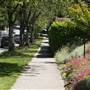 West 37th & Yew Street Neighbourhood