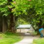 Maple Ridge Park