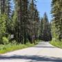 PHILPOTT FOREST ROAD