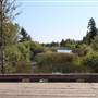 San Jose River- Wright Road