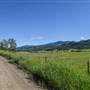 Dixon Creek Road & Farmland Valley