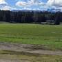 Springford Farm