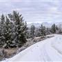 Private Driveway Paved & Unpaved with Curve & Gully