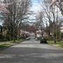 STREET - Fernwood Streets