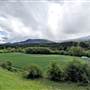 SILVER CREEK LANDSCAPE