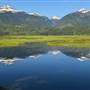 REVELSTOKE WETLANDS