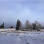 GGM Farm House, Heritage Cabin & Barn near Little Heffley Lake - Winter