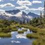 PREHISTORIC LANDSCAPE LOOK