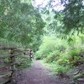 Hermit Trail