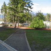 Golden Curling Arena