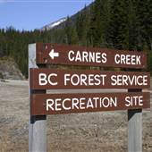 Carnes Creek Forestry Site