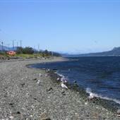 Tyee Spit