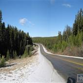BIG WHITE RD (fall)