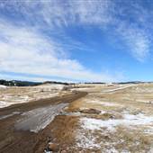 *Kullagh Road Grasslands - Kullagh Road - Upper FEB
