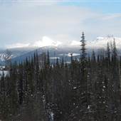 Bonaparte Plateau WINTER