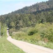STREET - Dirt Rd. Cowichan
