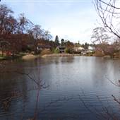Mystic Pond