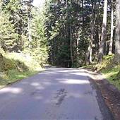 STREET - Pearson College Drive