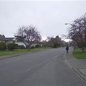 STREET - Cardiff Place