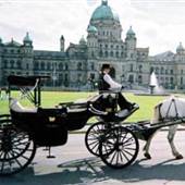 Carriage Ride
