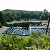 Quinsam Hatchery