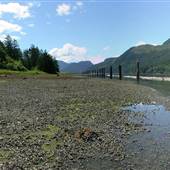 Tahsis Inlet