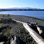 Parksville Beach (Spill Spot or Boat Launch)