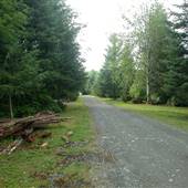 San Josef Bay (San Josef Heritage Park Campground)