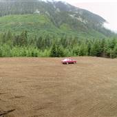 Compton Main Logging Road (Compton Main Parking Area)
