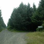 Spruce Bay Recreation Area (Victoria Lake and Spruce Bay Access Road)