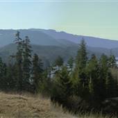 Utah Mine Site (Hillside overlooking Utah Mine and Rupert Inlet)