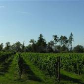 Teranova Farmstead (Teranova Vineyards)