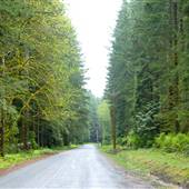 Camp Road
