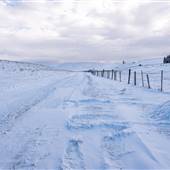 Beresford Road at Beresford Barn and Cabin WINTER Dec 2021