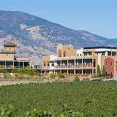 BURROWING OWL WINERY