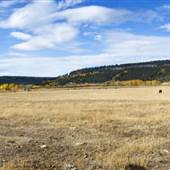 Alexis Creek Ranch