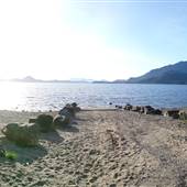 Kennedy Lake
