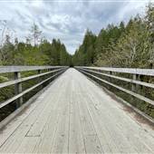Trestle 66