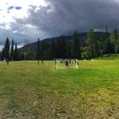 Sun Peaks Resort 111b Soccer Field SUMMER