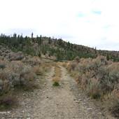 *Rose Hill Rd East Dirt Road through Desert Hills