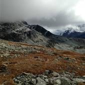 Blackcomb Lake - Summer