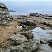 Nanoose - Madrona Point