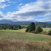 Nanoose Vista