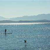 Ocean_Mountains Scenic Views
