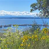 Townsite Viewpoint