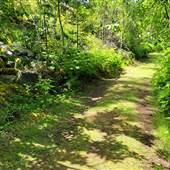 Aspengrove School Trails