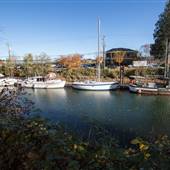 Courtenay River Government Dock