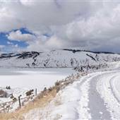 *Trapp Lake Road Grasslands - WINTER